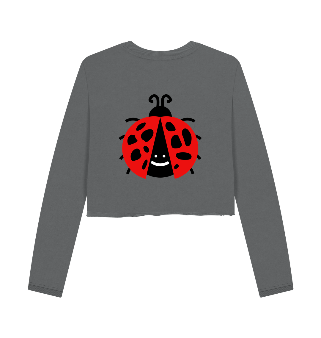 Ladybug Journey Hoodie