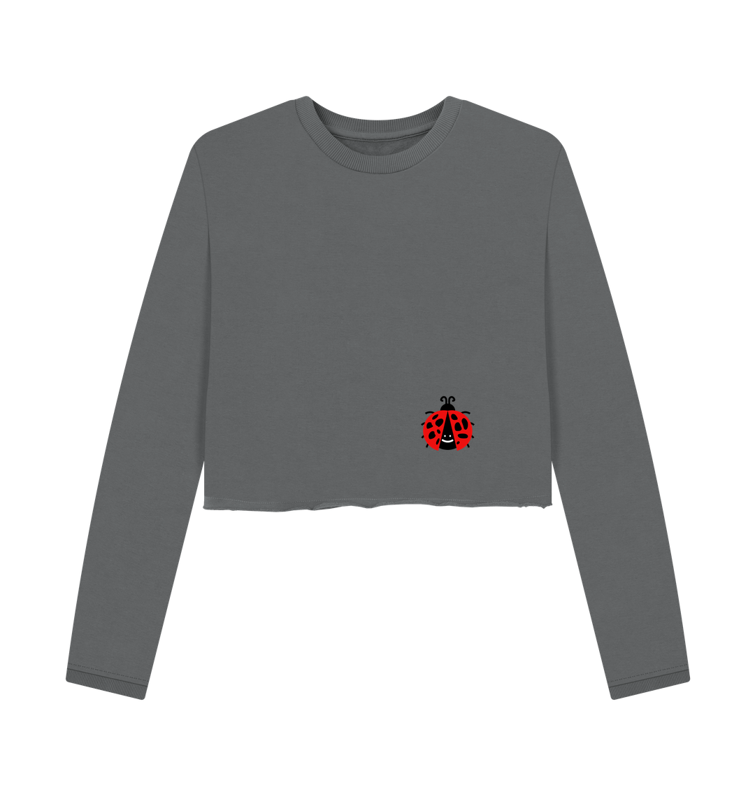 Slate Grey Ladybug Journey Hoodie