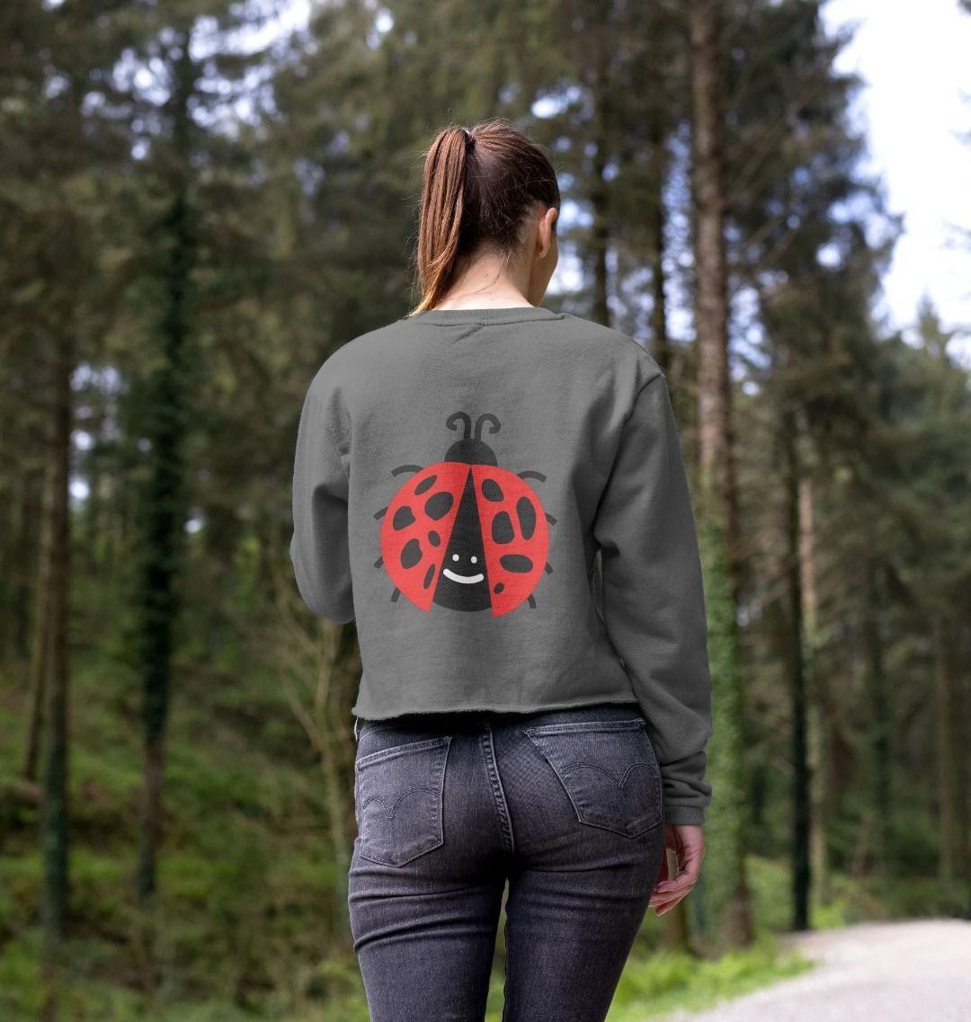 Ladybug Journey Hoodie