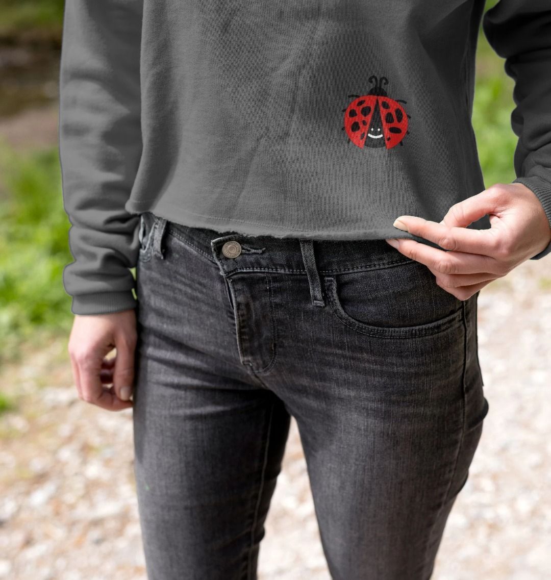 Ladybug Journey Hoodie